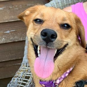 Meet your Posher, Terri